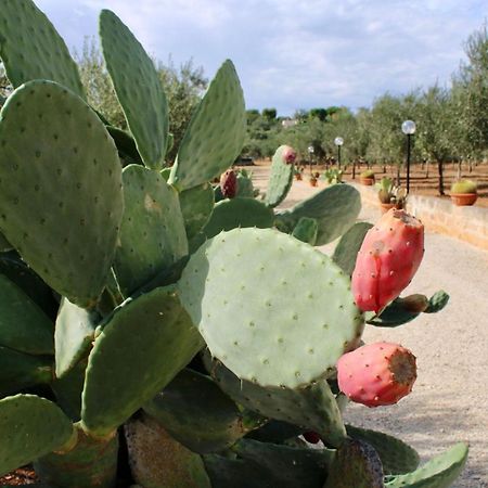 I Trulli Di Gina Appartamento Trullo 6 Persone モノーポリ エクステリア 写真