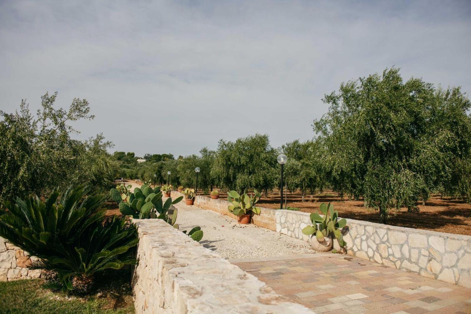 I Trulli Di Gina Appartamento Trullo 6 Persone モノーポリ エクステリア 写真